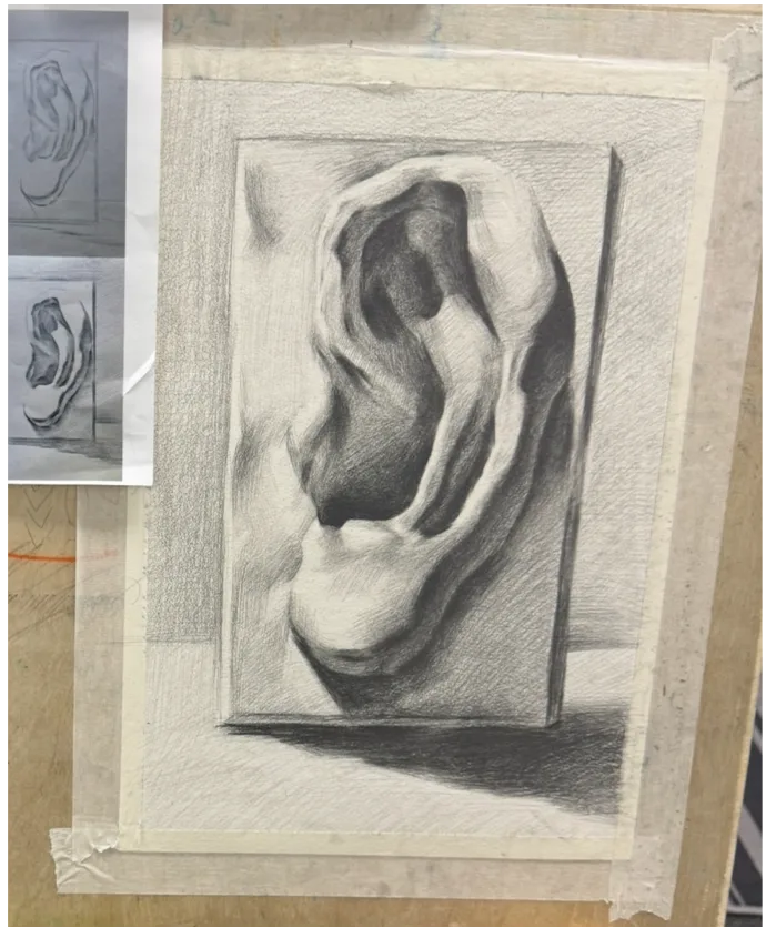 Charcoal ear study produced in an adult art class